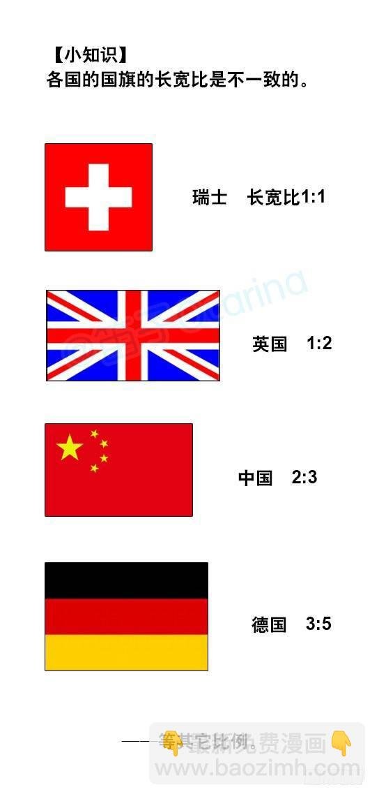 19 国旗