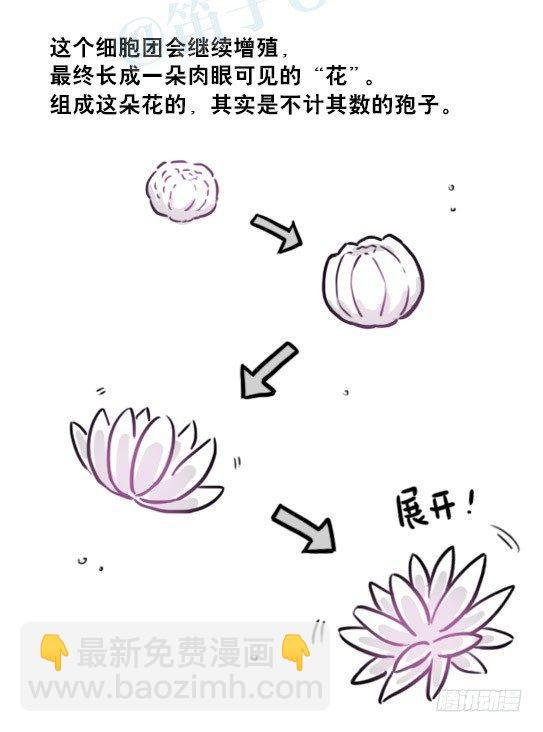 197 花吐症