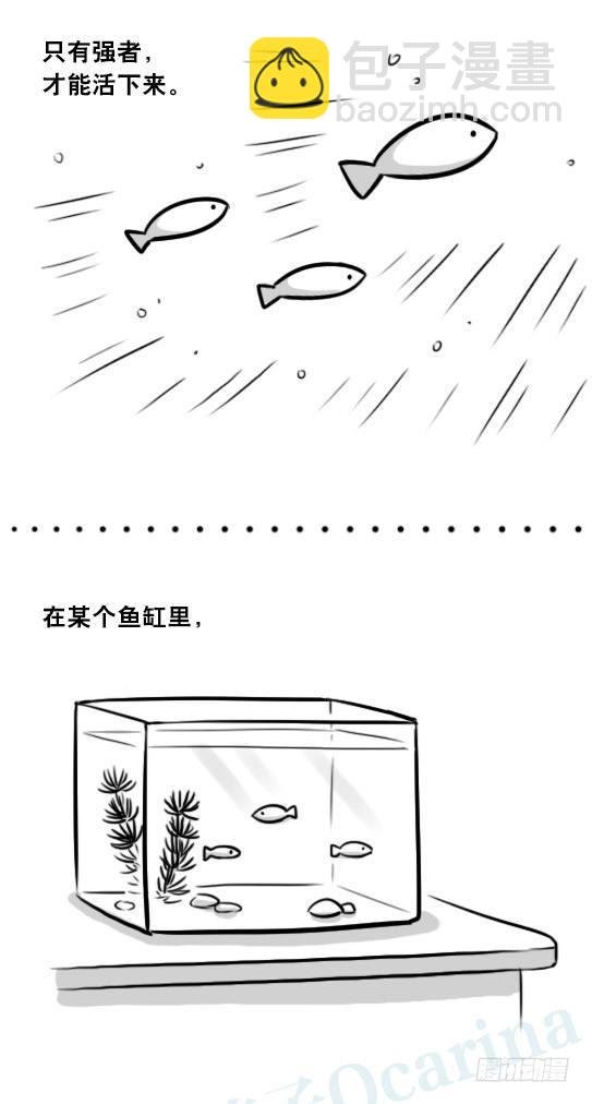 279 鱼