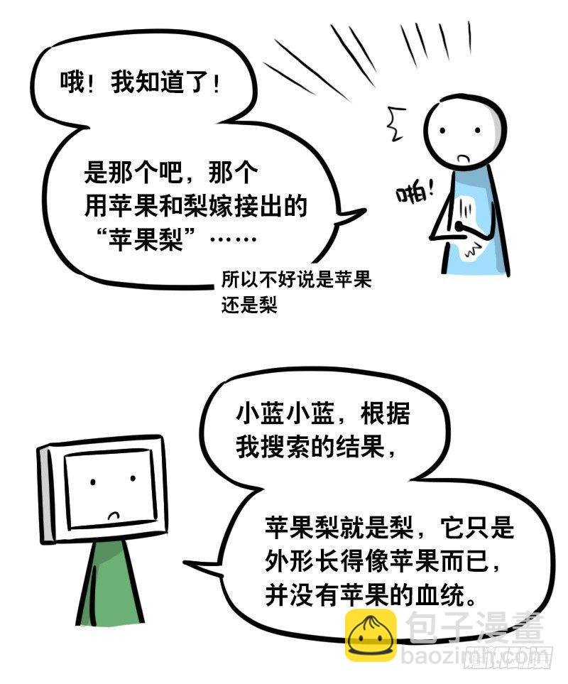 294 动画吐槽05