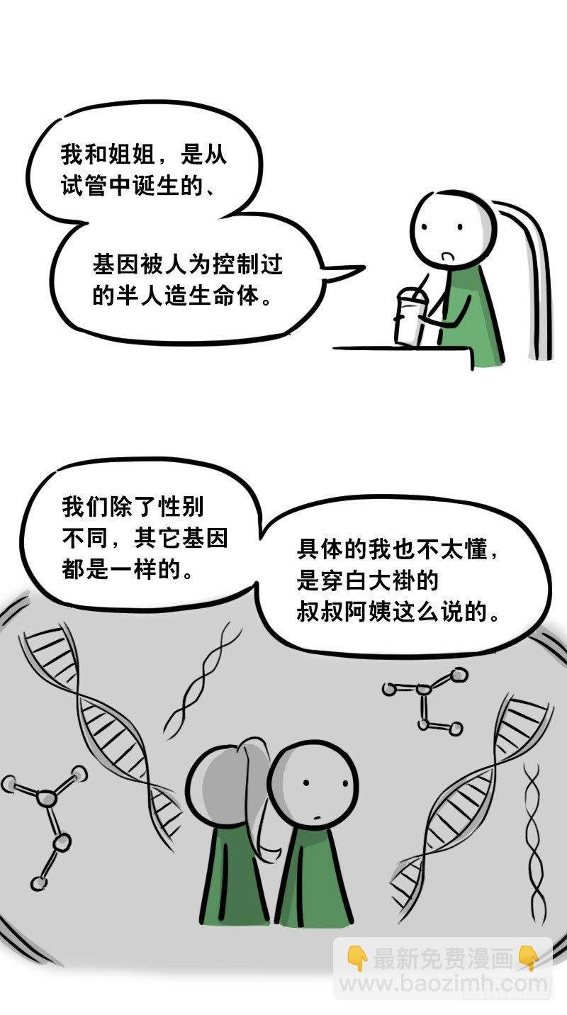 308 双胞胎