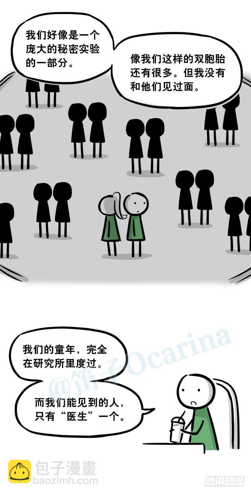 308 双胞胎