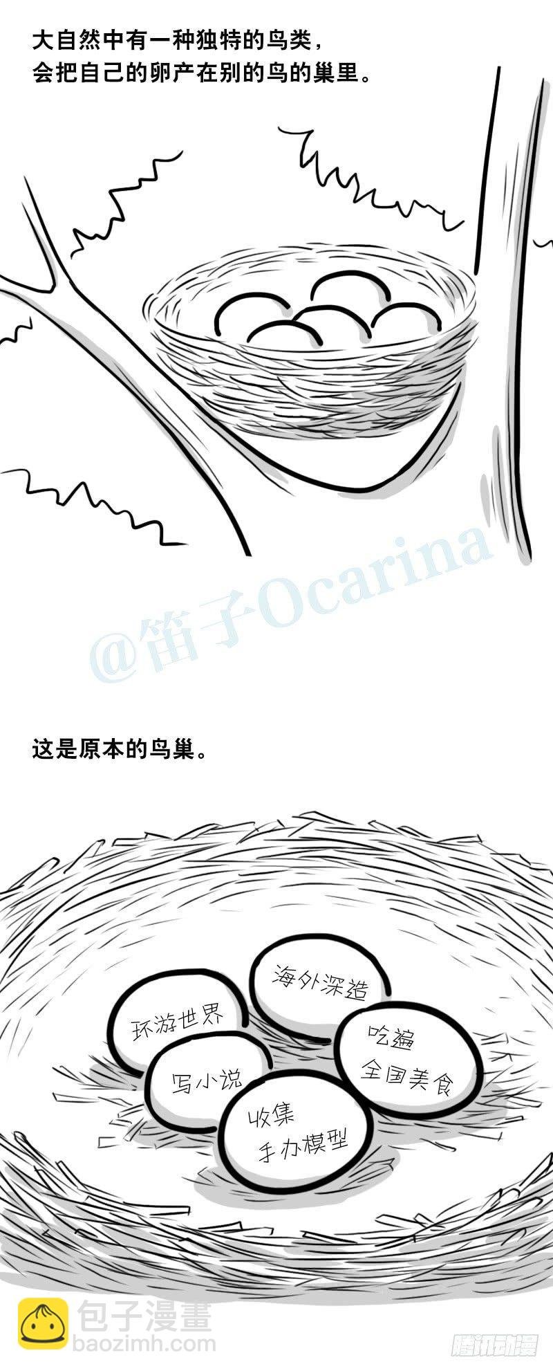 335 杜鹃