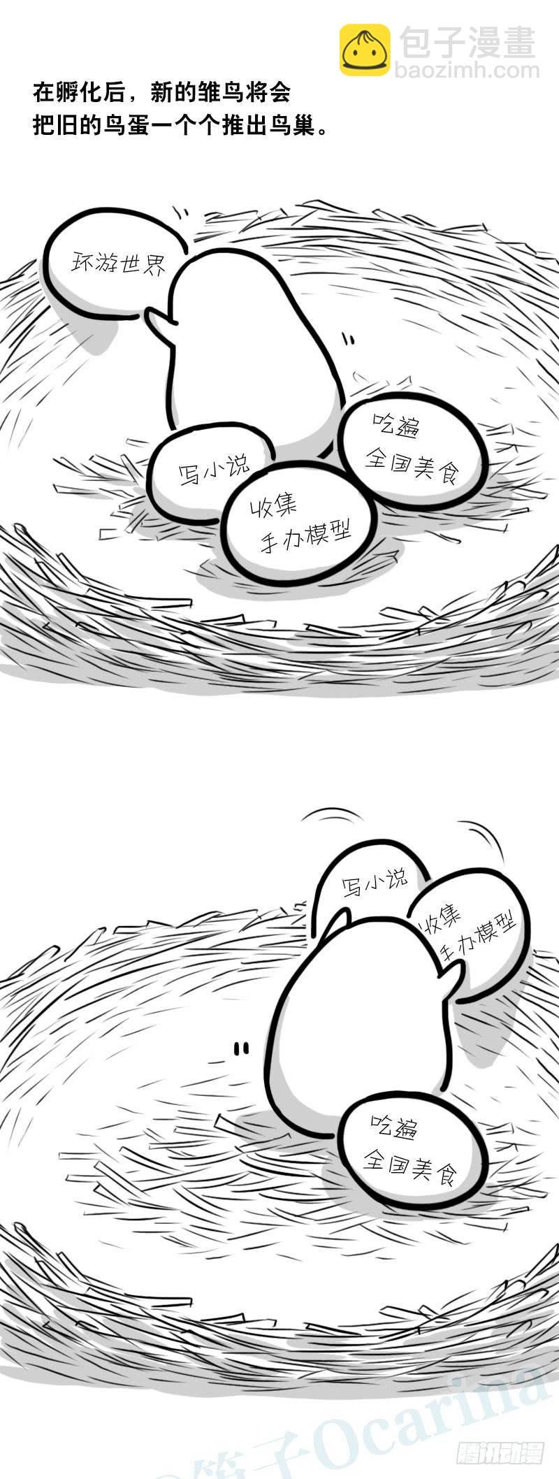 335 杜鹃