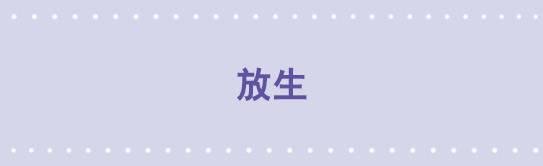 53 放生