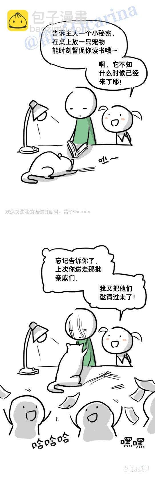 69 两种软件
