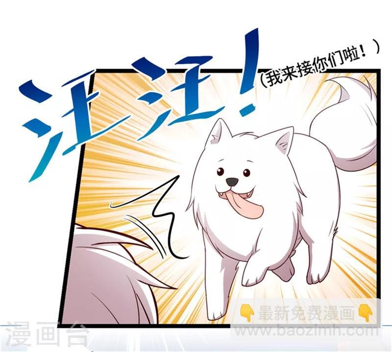 第233话 关门放狗
