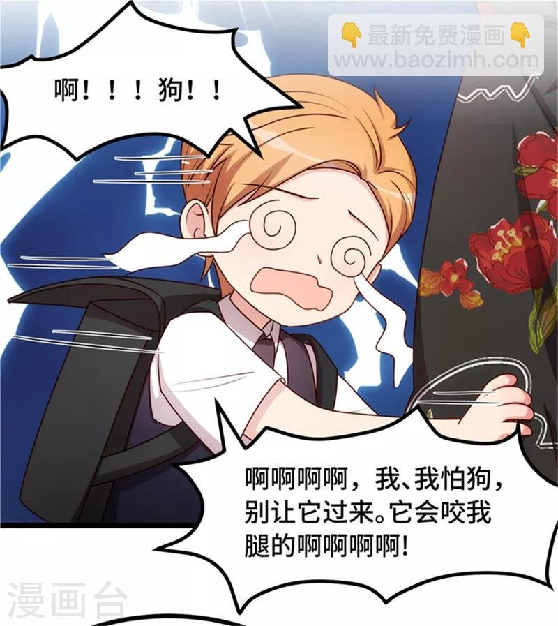 第233话 关门放狗