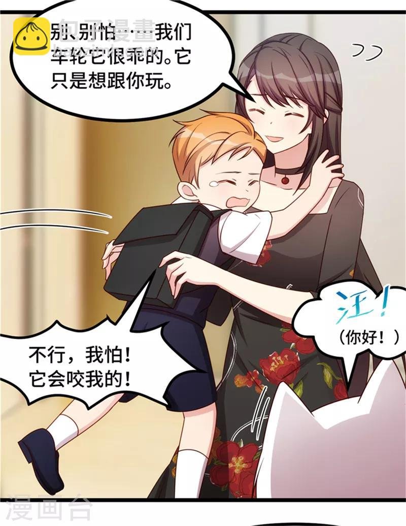 第233话 关门放狗