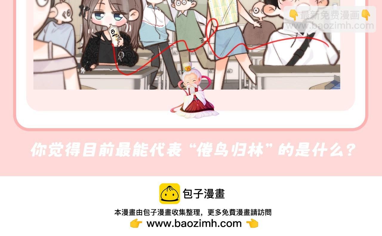 第79期 特别企划：倦鸟归林代表物--小红线