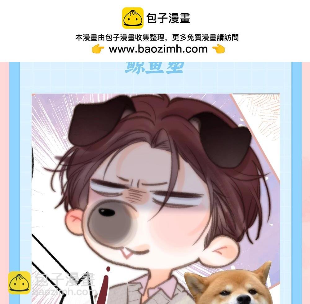 第85期 特别企划：全员动物塑来啦~