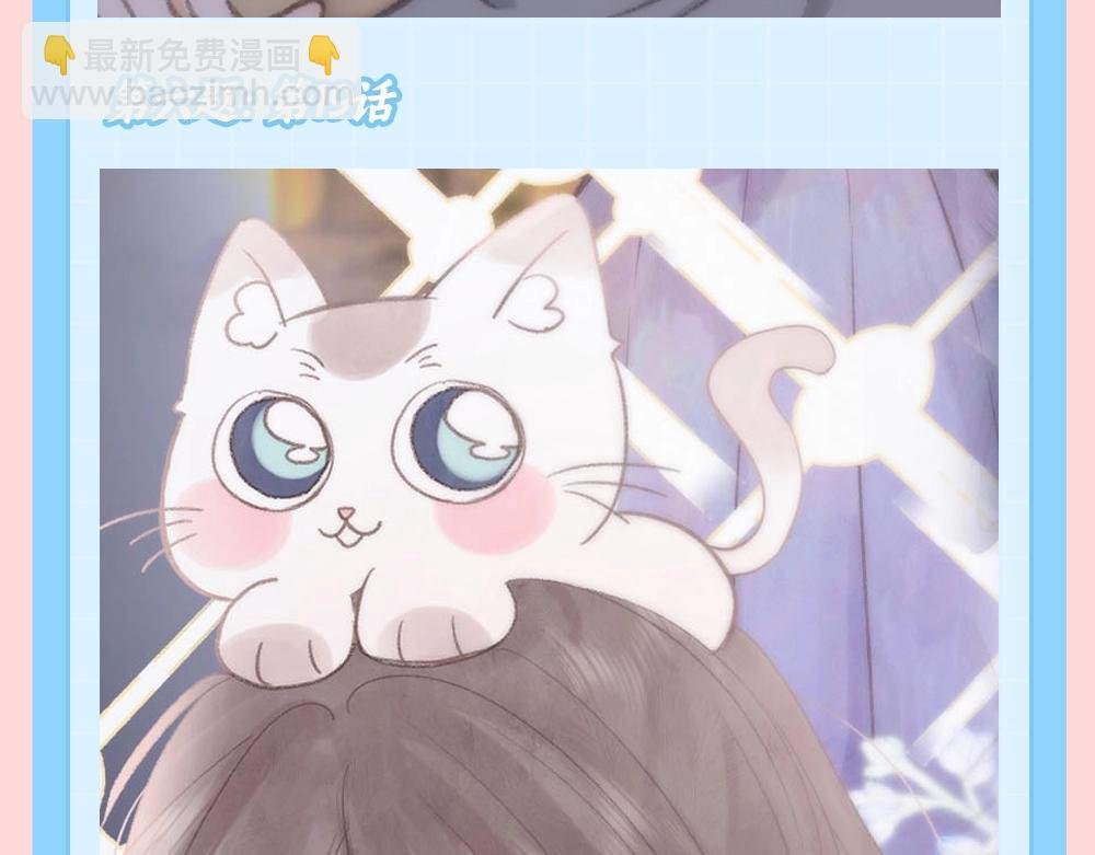 第85期 特别企划：全员动物塑来啦~