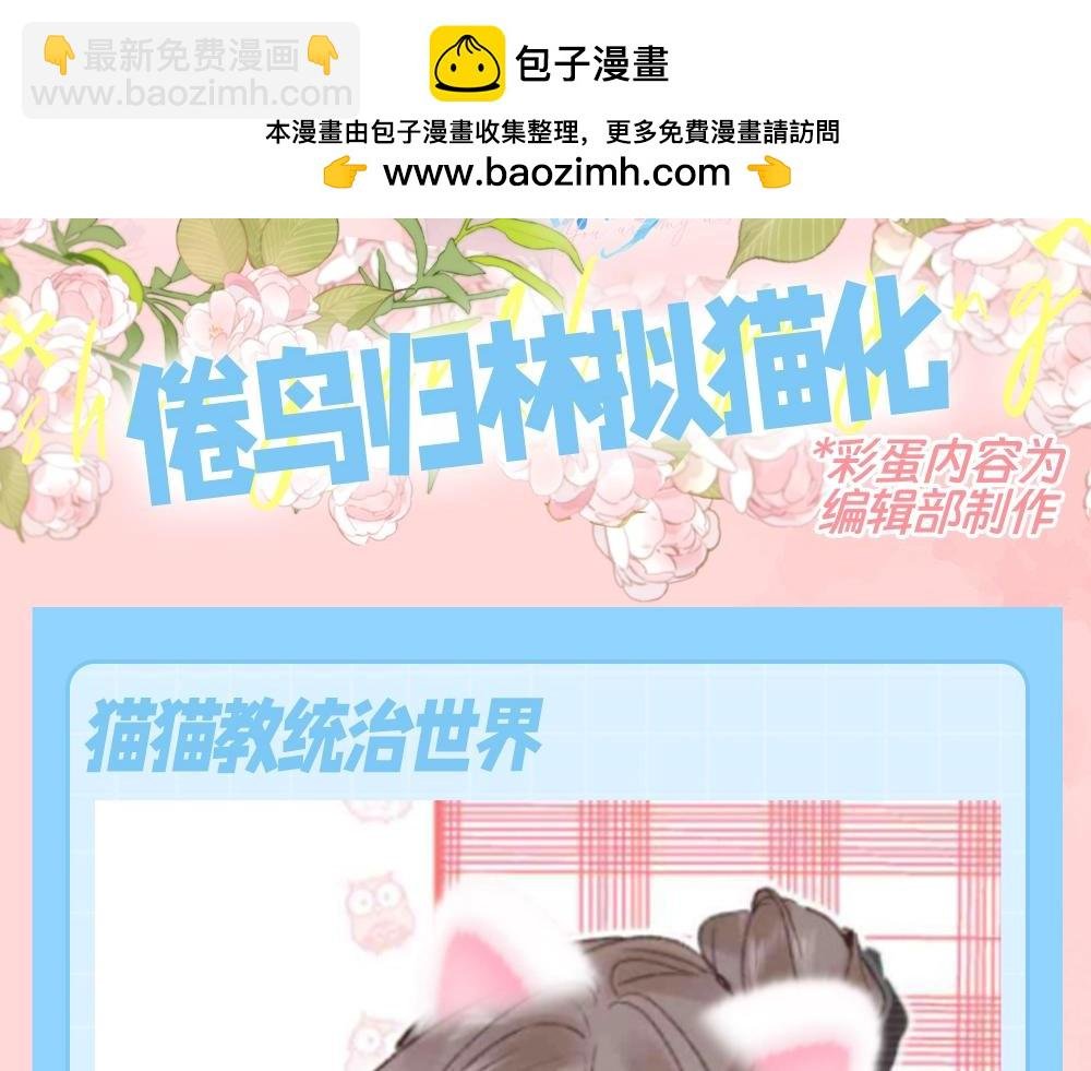 第121期 特别企划：倦鸟归林拟猫化