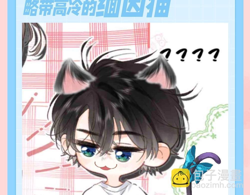第121期 特别企划：倦鸟归林拟猫化