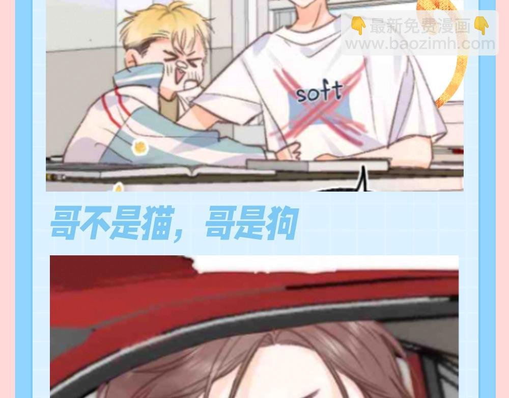 第121期 特别企划：倦鸟归林拟猫化