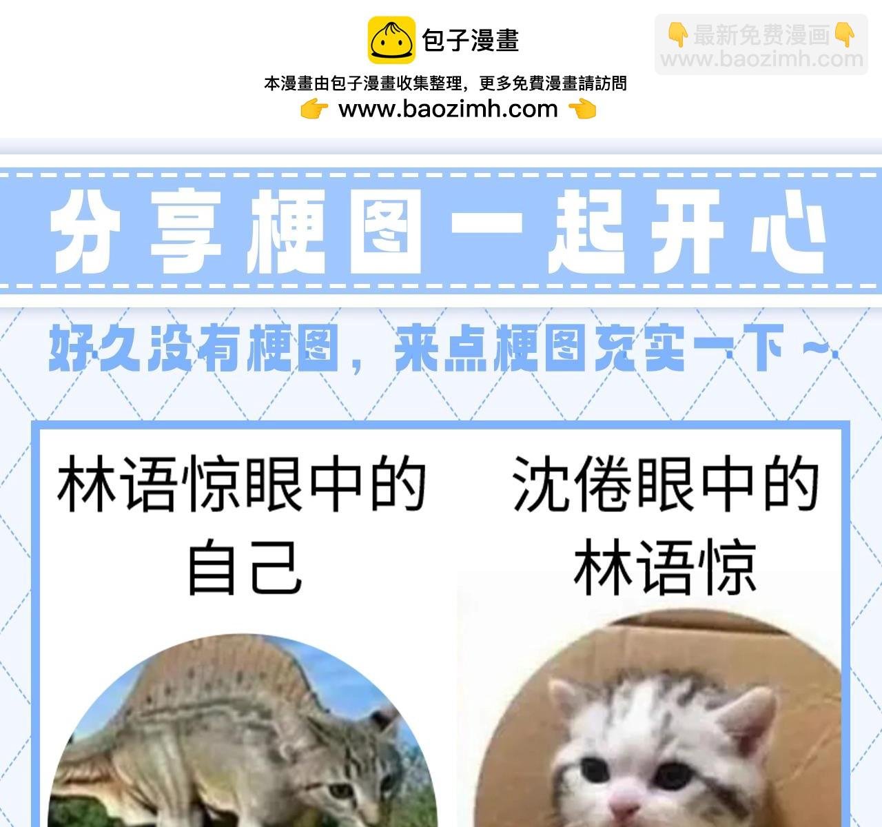 第147期 整活企划：分享梗图一起开心