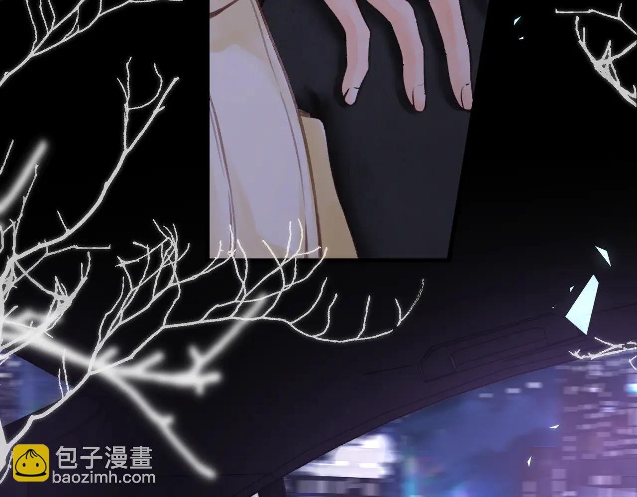第87话 逃走的猫