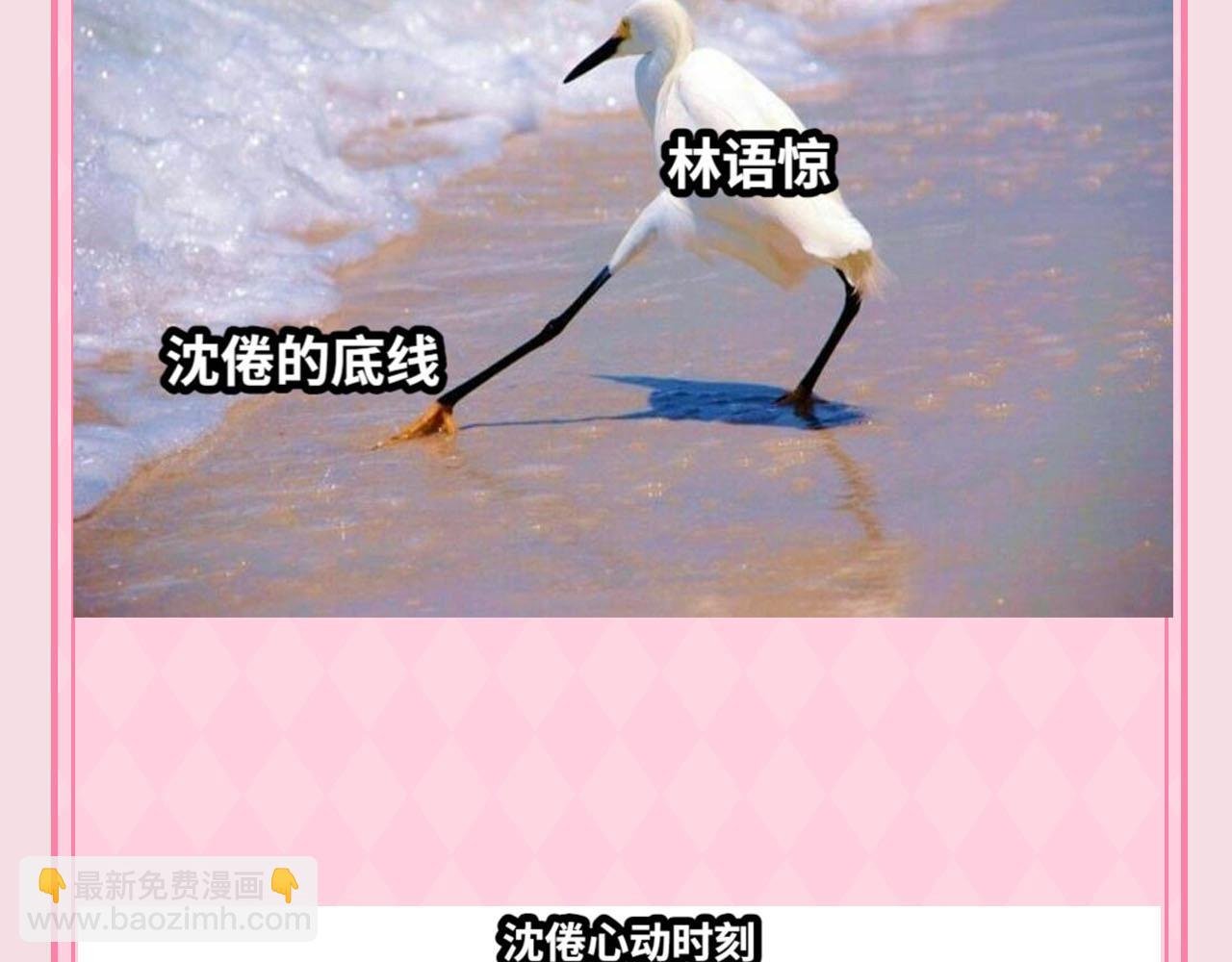 第48期 梗图合集（日更中）
