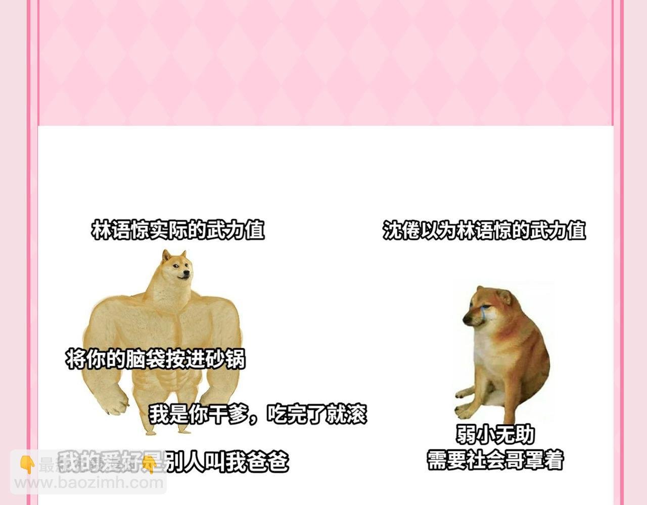 第48期 梗图合集（日更中）