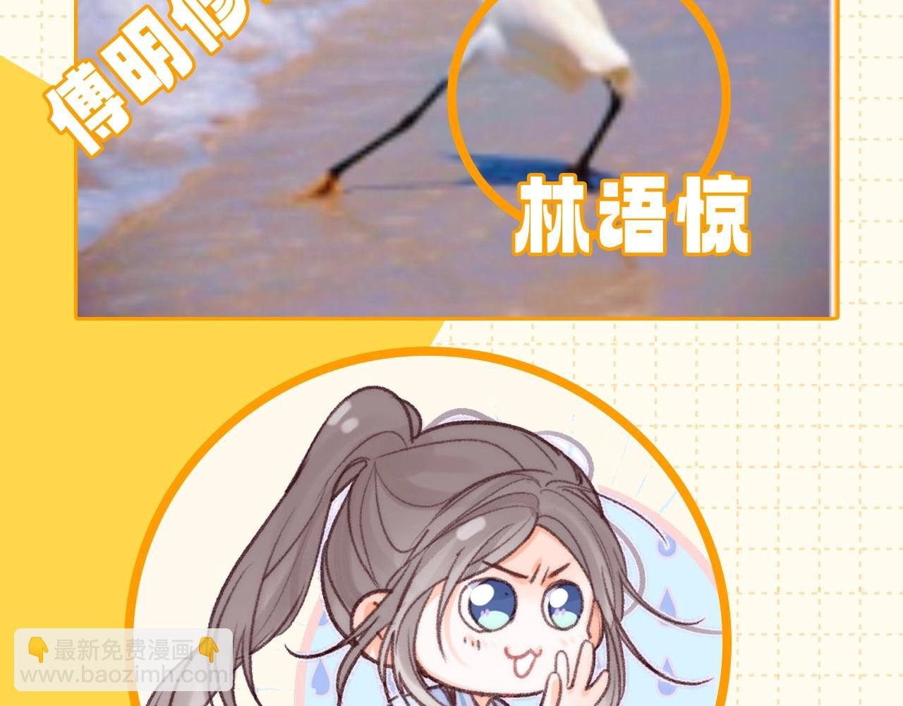 第72期 这里不是玩梗