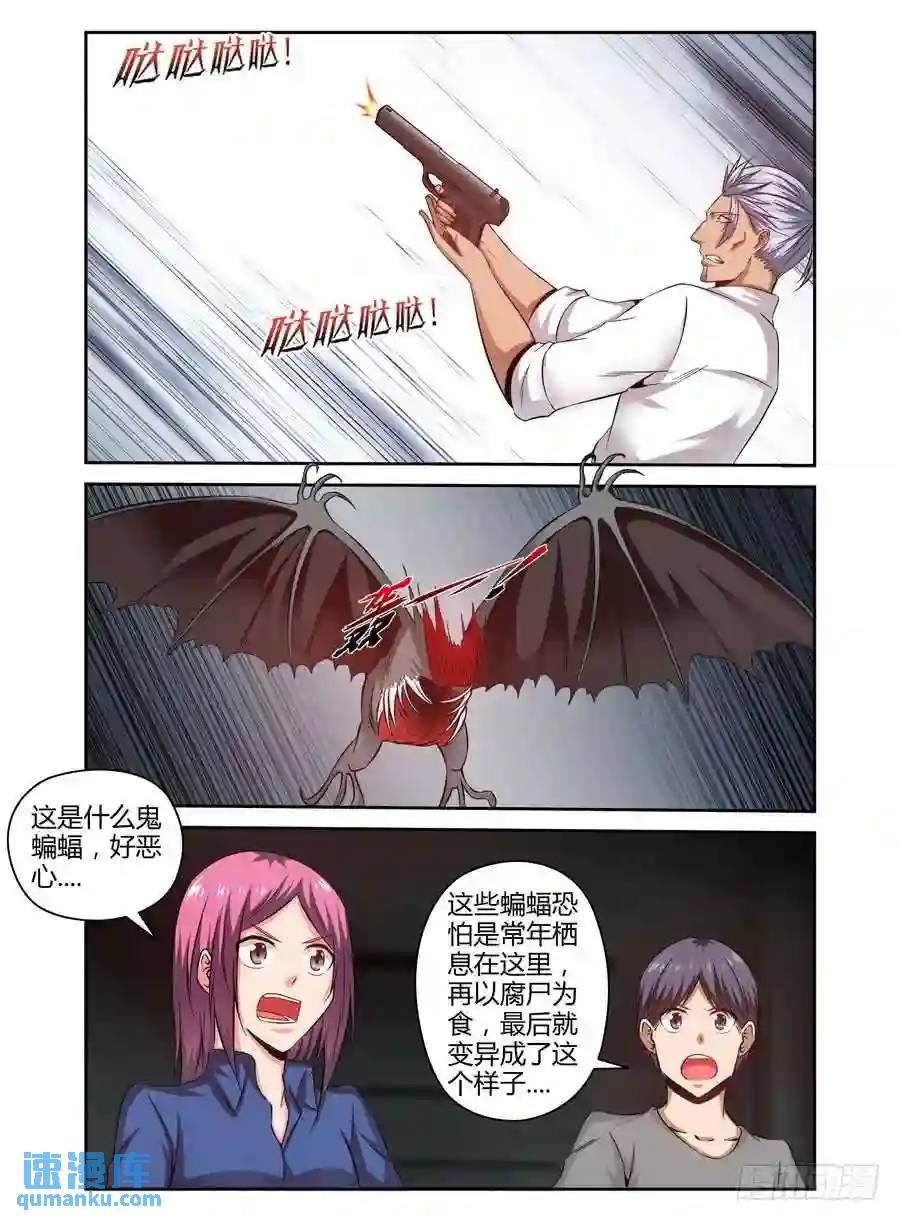 144.蝠影惊魂！