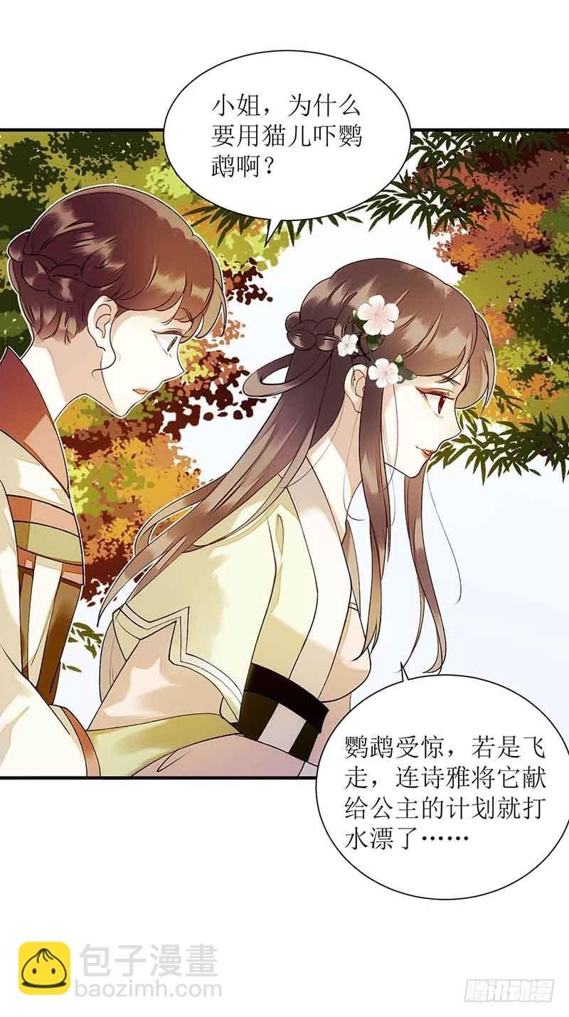 第45话 鹦鹉丢了