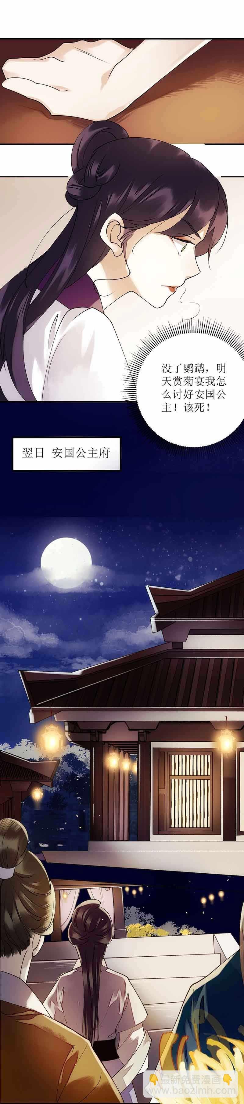 第45话 鹦鹉丢了