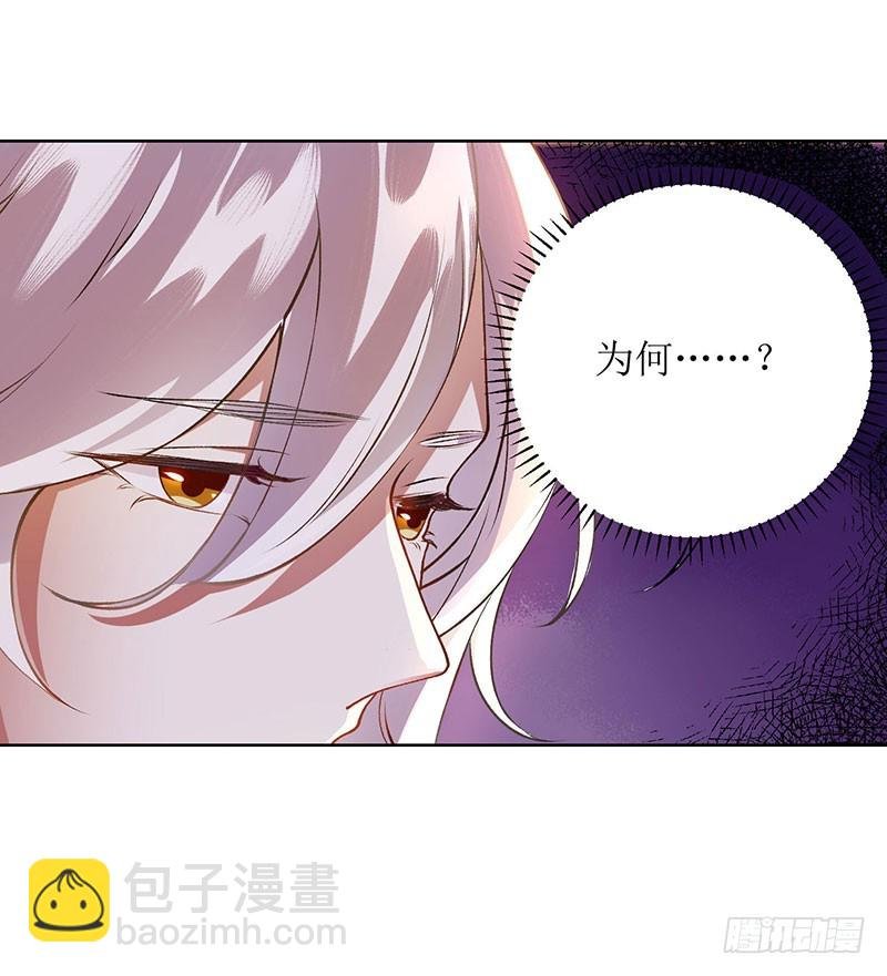 第66话 只是盟友