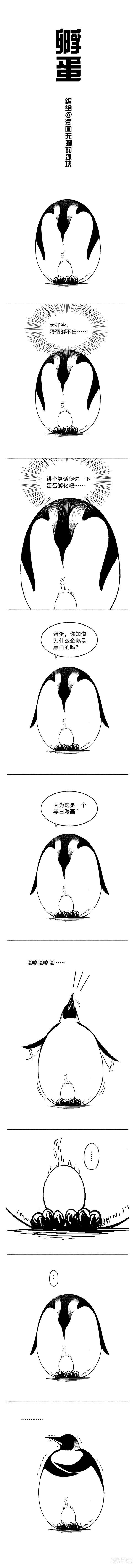 001孵蛋