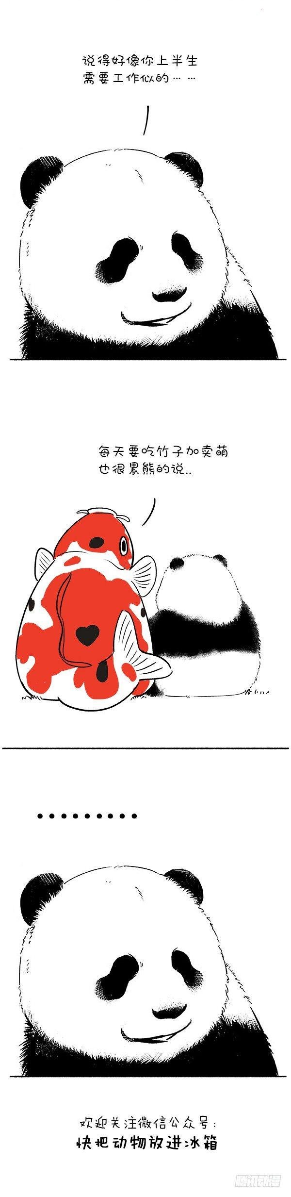 111转发这“头”锦鲤