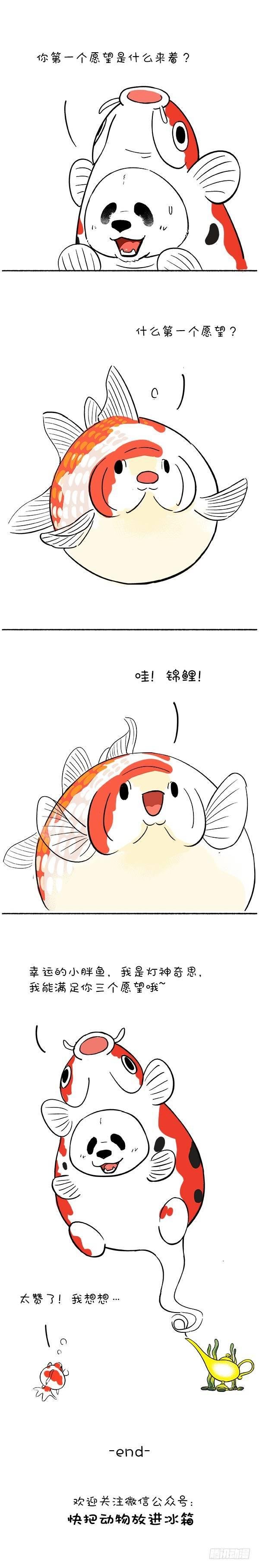 113我是灯神，我来改变你的鱼生