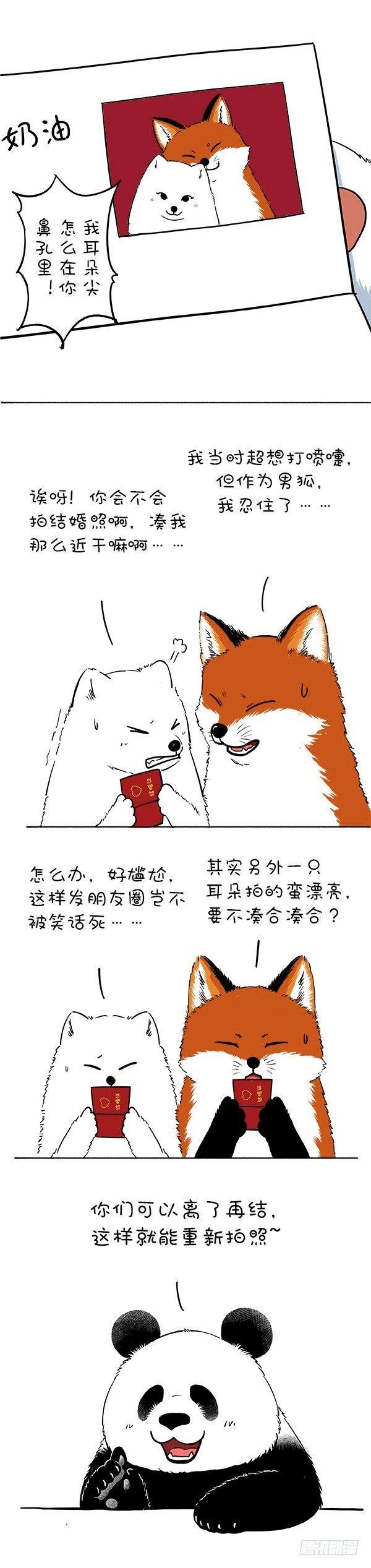 121阿直奶油领证官宣~