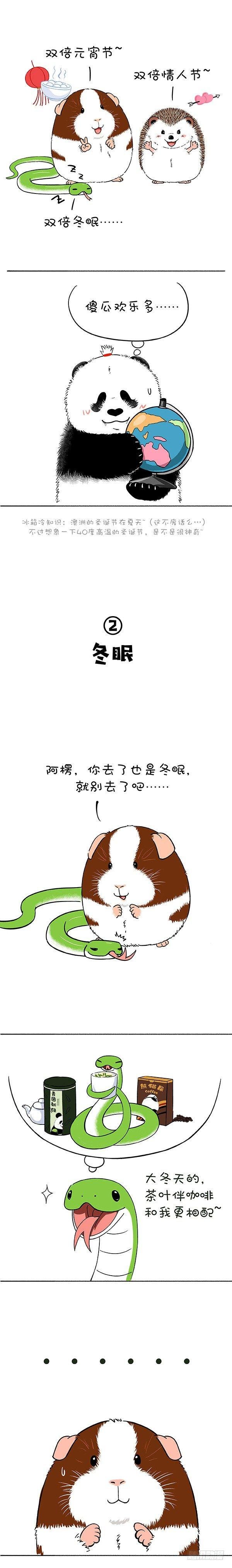 169真正的关怀是给你我的卡