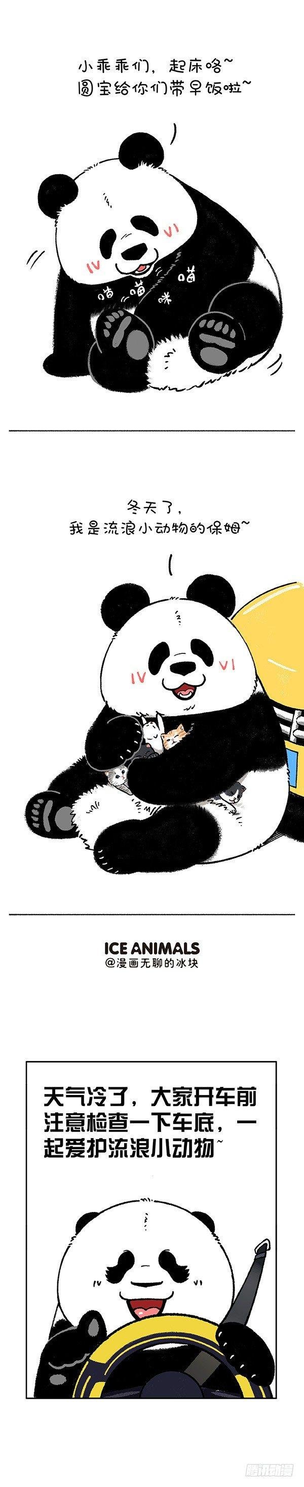 196你应该在车里，不应该在车底
