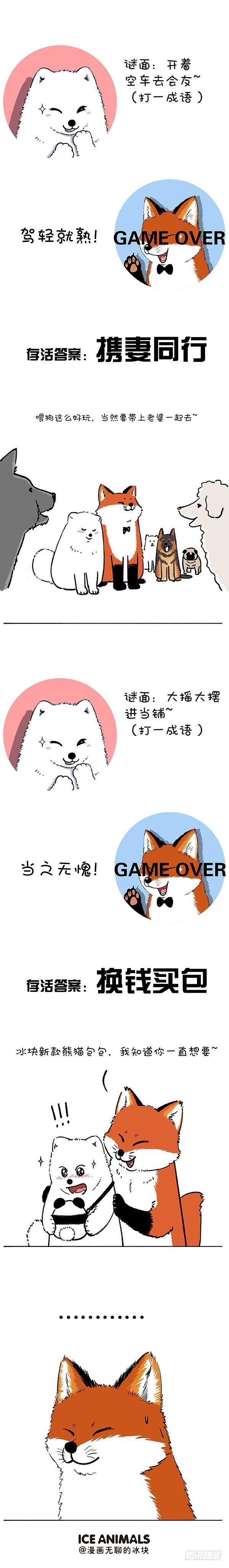211对元宵彩灯和灯谜的认知升级