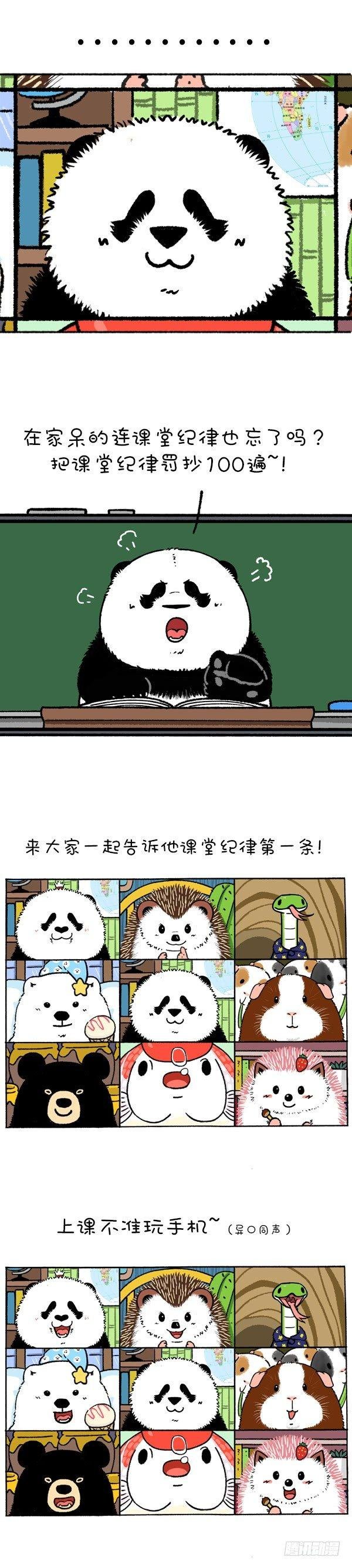 219圆宝老师网课翻车现场