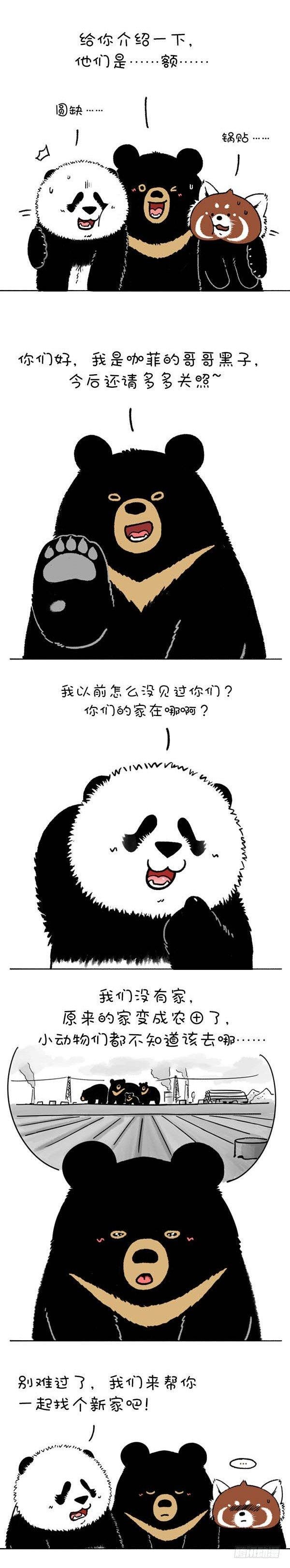220熊挪活，树挪死