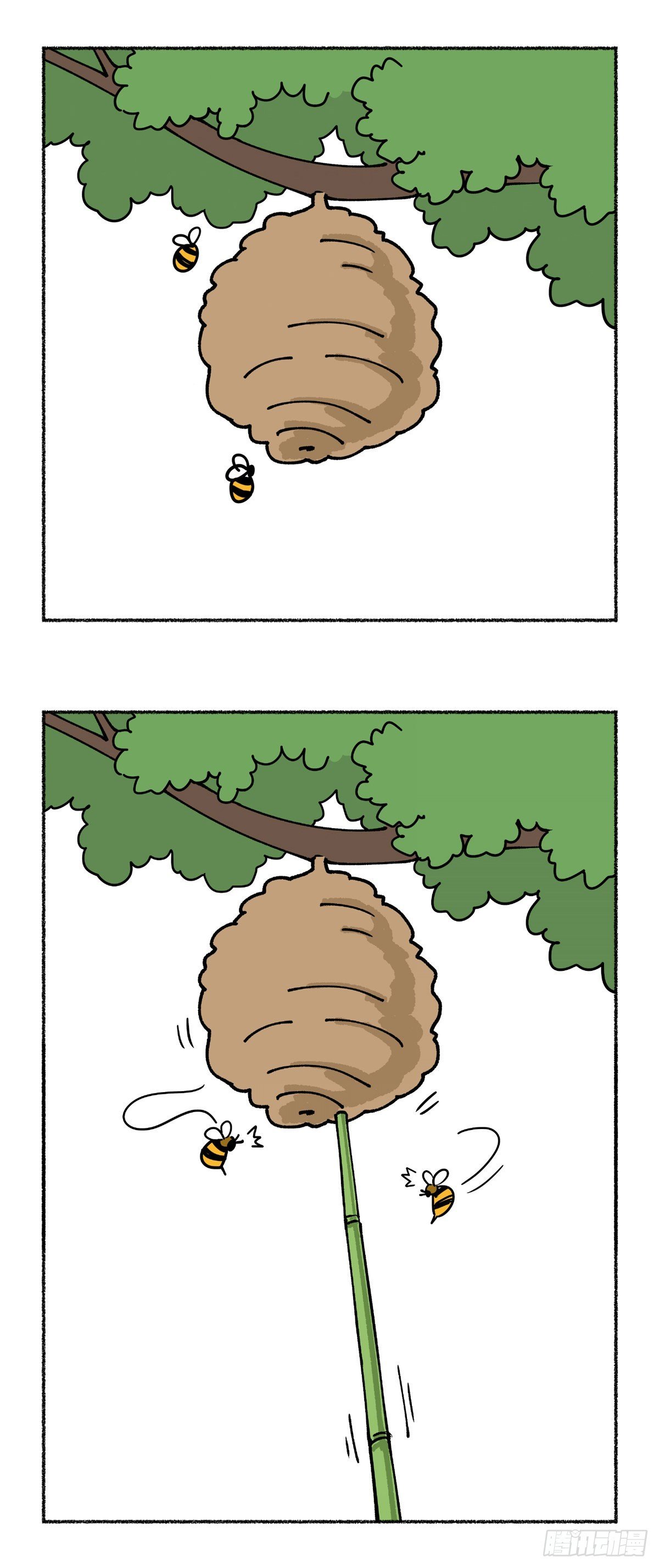 不经一番痛彻骨，小崽如何变偶像