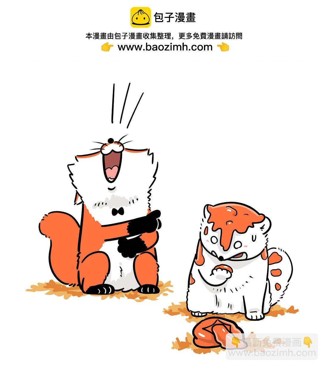 462 霜降好柿坠，般配成绝配