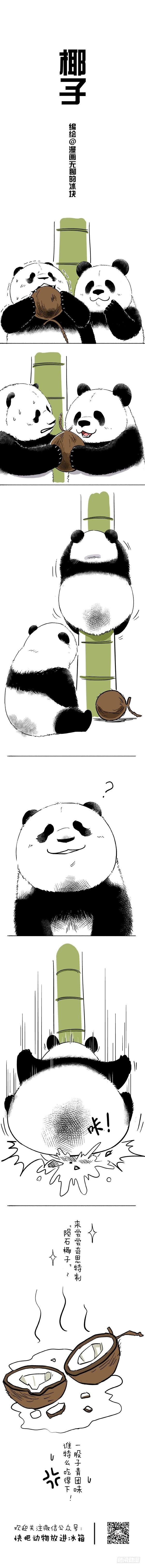 079熊在普吉之“泰熊”篇01