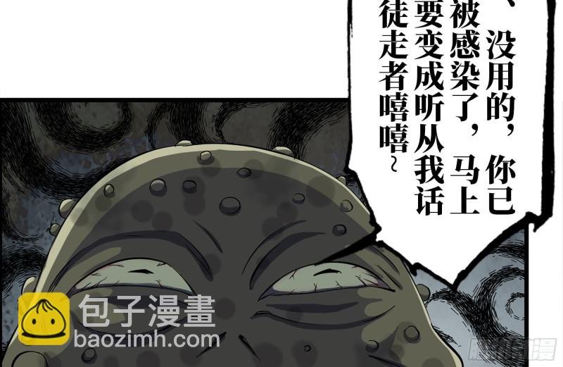 137-青蛙军团？
