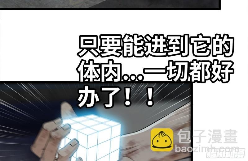 146-放手一搏