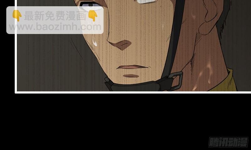 148- 负子蟾2