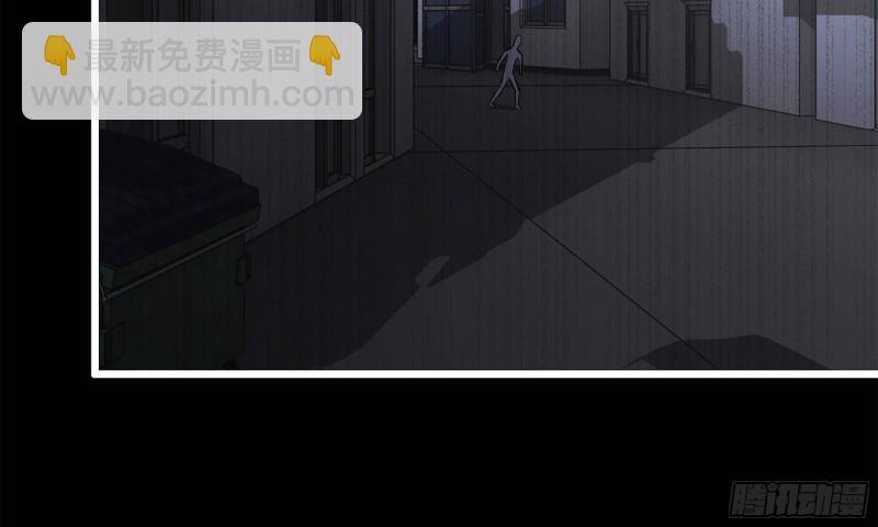 148- 负子蟾2