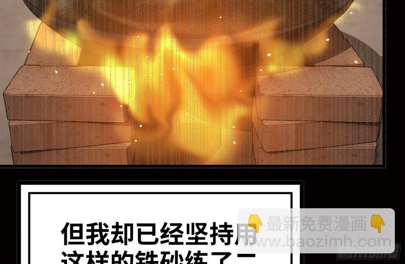 173-铁砂掌