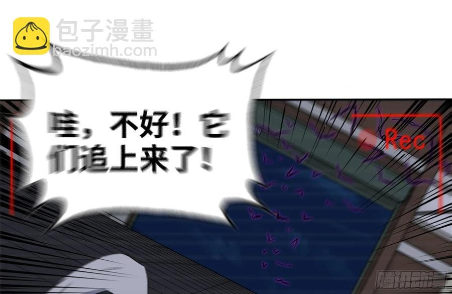 246-出现新尸王