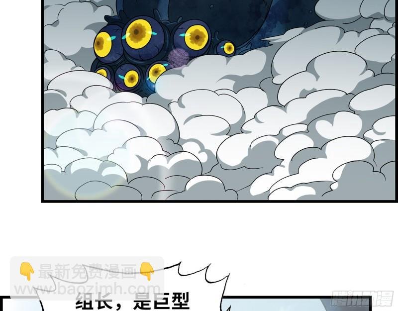 374- 孢子病毒