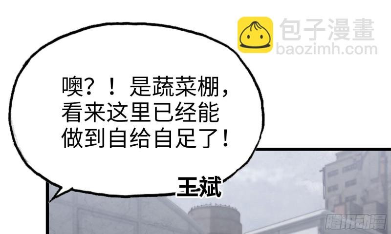 62-金爷币