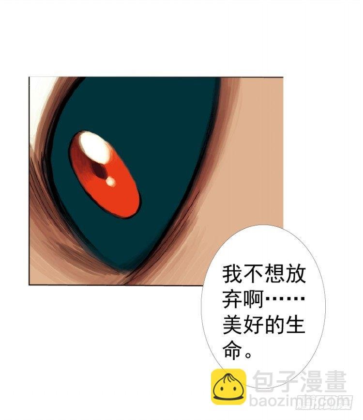 第312话：终结者（上）