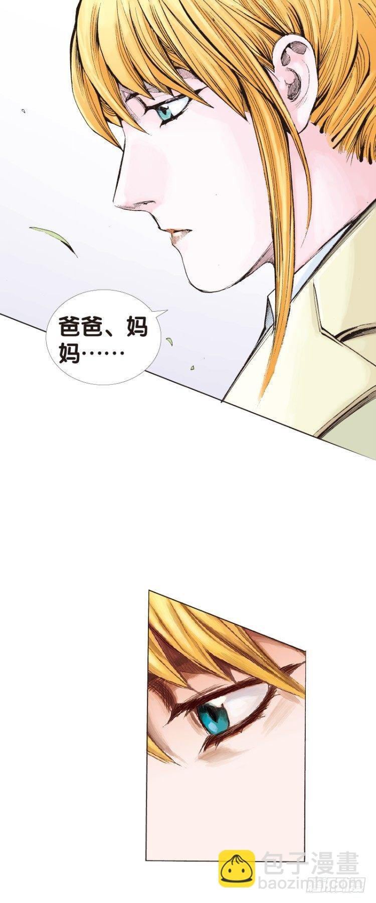 第四十三回：狂袭（七）